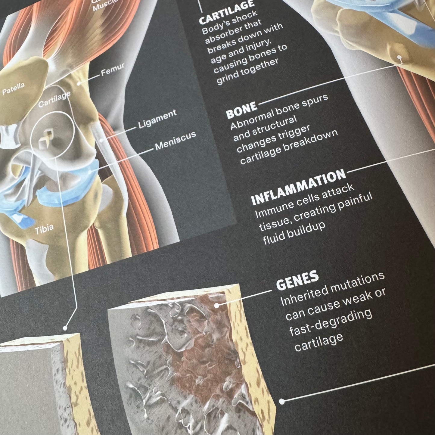 GRAPHICS Magazine